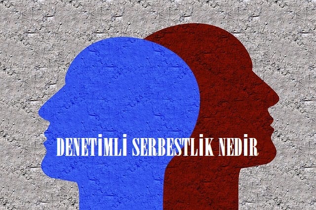 Denetimli serbestlik nedir